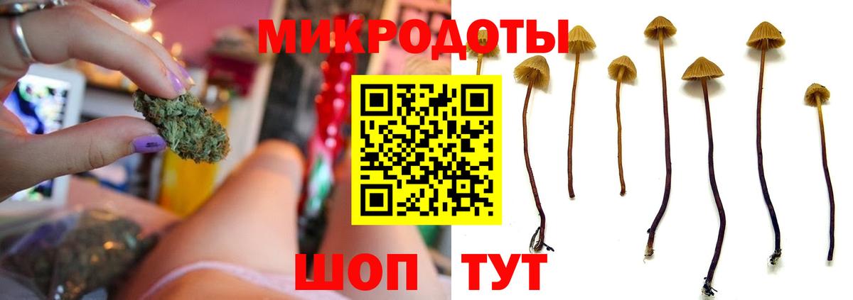 Псилоцибиновые грибы Psilocybine cubensis  Вход с VPN  купить наркотики цена  Строитель 